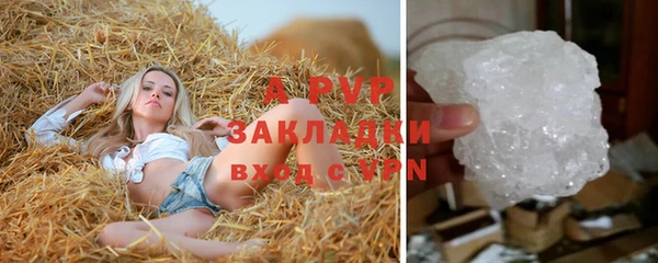 PSILOCYBIN Волоколамск
